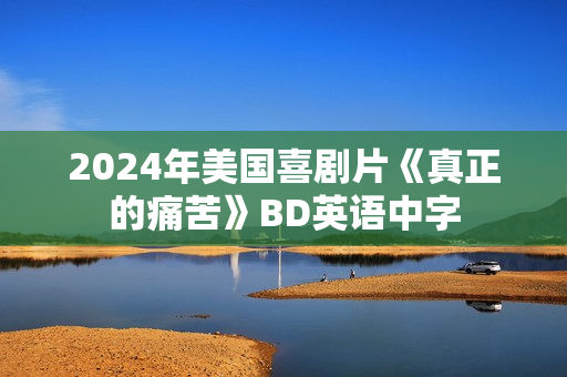 2024年美国喜剧片《真正的痛苦》BD英语中字