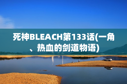 死神BLEACH第133话(一角、热血的剑道物语)