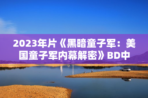 2023年片《黑暗童子军：美国童子军内幕解密》BD中英双字