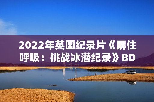 2022年英国纪录片《屏住呼吸：挑战冰潜纪录》BD英语中字
