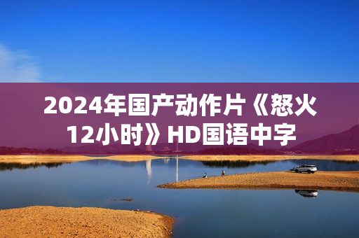 2024年国产动作片《怒火12小时》HD国语中字