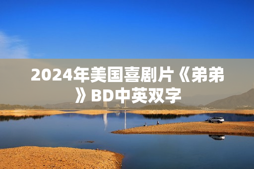 2024年美国喜剧片《弟弟》BD中英双字