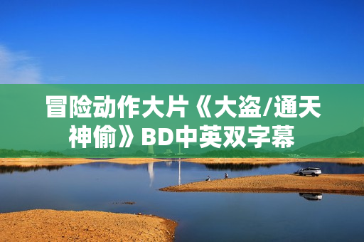 冒险动作大片《大盗/通天神偷》BD中英双字幕