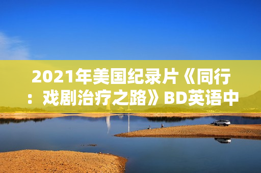 2021年美国纪录片《同行：戏剧治疗之路》BD英语中字