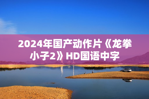 2024年国产动作片《龙拳小子2》HD国语中字