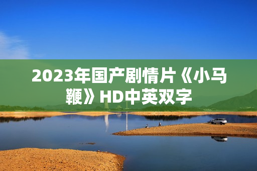2023年国产剧情片《小马鞭》HD中英双字
