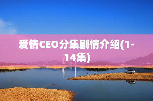 爱情CEO分集剧情介绍(1-14集)