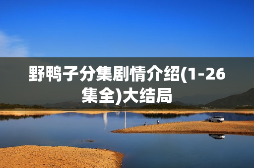 野鸭子分集剧情介绍(1-26集全)大结局