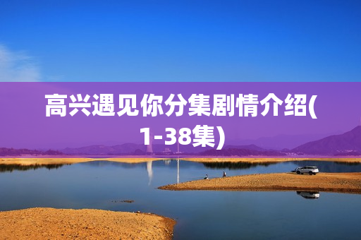 高兴遇见你分集剧情介绍(1-38集)