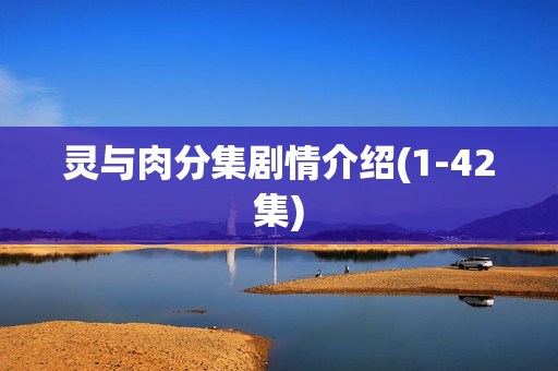 灵与肉分集剧情介绍(1-42集)