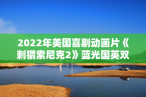 2022年美国喜剧动画片《刺猬索尼克2》蓝光国英双语中英双字