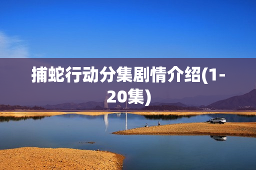 捕蛇行动分集剧情介绍(1-20集)