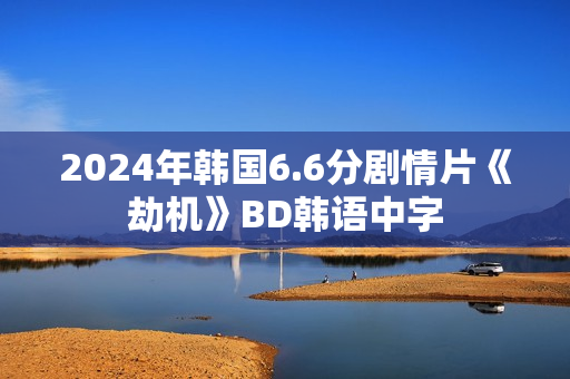 2024年韩国6.6分剧情片《劫机》BD韩语中字