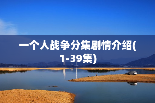 一个人战争分集剧情介绍(1-39集)