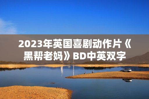 2023年英国喜剧动作片《黑帮老妈》BD中英双字