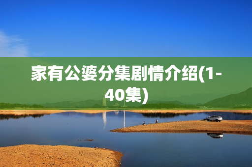 家有公婆分集剧情介绍(1-40集)