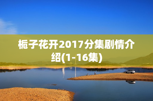 栀子花开2017分集剧情介绍(1-16集)