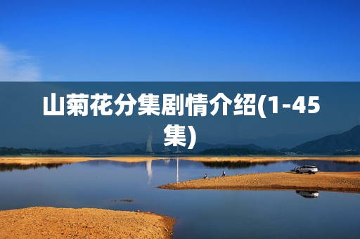 山菊花分集剧情介绍(1-45集)