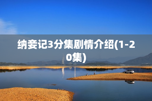 纳妾记3分集剧情介绍(1-20集)