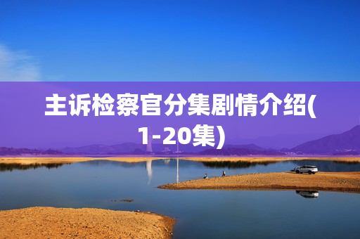 主诉检察官分集剧情介绍(1-20集)