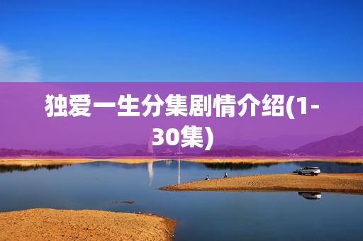 独爱一生分集剧情介绍(1-30集)