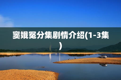 窦娥冤分集剧情介绍(1-3集)