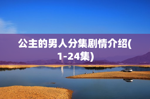 公主的男人分集剧情介绍(1-24集)