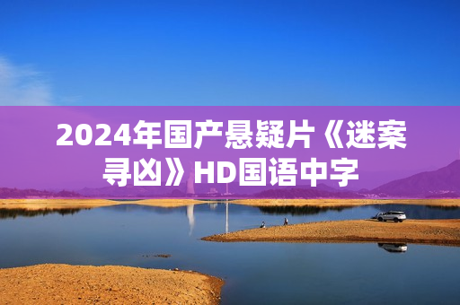2024年国产悬疑片《迷案寻凶》HD国语中字