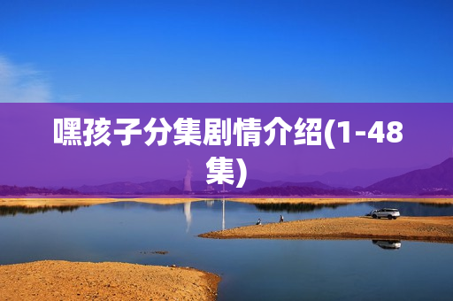 嘿孩子分集剧情介绍(1-48集)