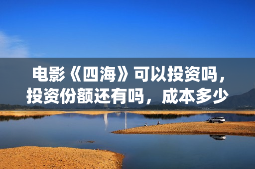 电影《四海》可以投资吗，投资份额还有吗，成本多少？(电影《四海》可以在哪看)