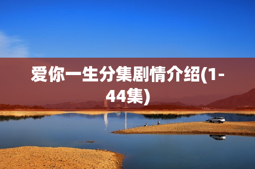 爱你一生分集剧情介绍(1-44集)