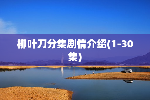 柳叶刀分集剧情介绍(1-30集)
