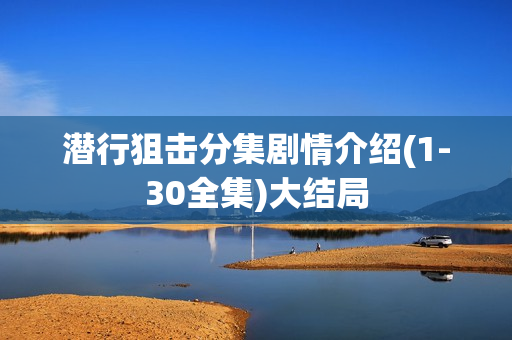 潜行狙击分集剧情介绍(1-30全集)大结局