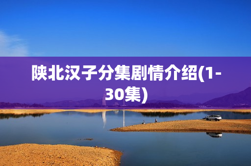 陕北汉子分集剧情介绍(1-30集)