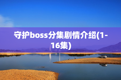 守护boss分集剧情介绍(1-16集)