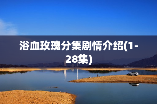 浴血玫瑰分集剧情介绍(1-28集)