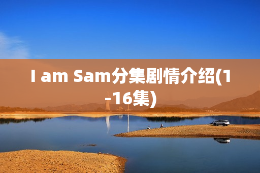 I am Sam分集剧情介绍(1-16集) I am Sam分集剧情介绍(1-16集)