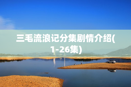 三毛流浪记分集剧情介绍(1-26集)