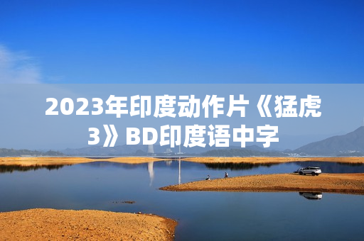 2023年印度动作片《猛虎3》BD印度语中字