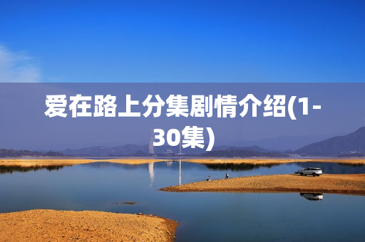 爱在路上分集剧情介绍(1-30集)