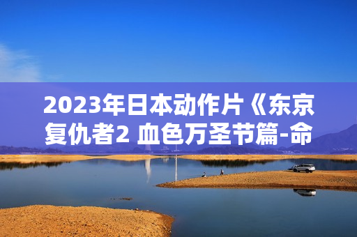 2023年日本动作片《东京复仇者2 血色万圣节篇-命运》BD日语中字