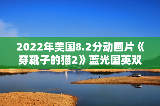 2022年美国8.2分动画片《穿靴子的猫2》蓝光国英双语中英双字
