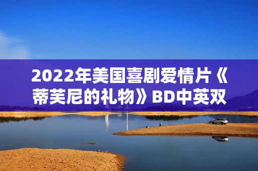 2022年美国喜剧爱情片《蒂芙尼的礼物》BD中英双字