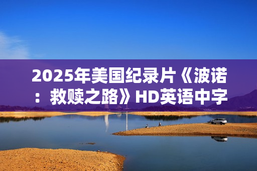 2025年美国纪录片《波诺：救赎之路》HD英语中字