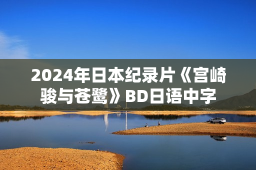 2024年日本纪录片《宫崎骏与苍鹭》BD日语中字