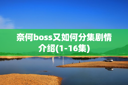 奈何boss又如何分集剧情介绍(1-16集) 奈何boss又如何分集剧情介绍(1-16集)