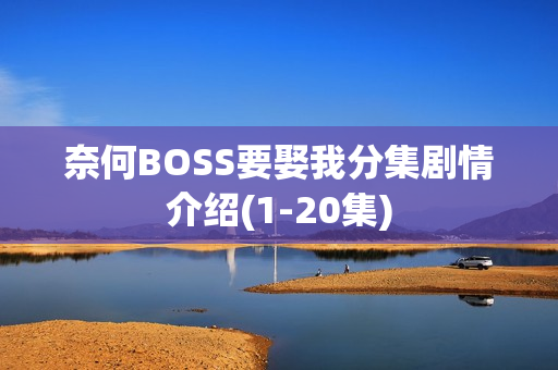 奈何BOSS要娶我分集剧情介绍(1-20集)