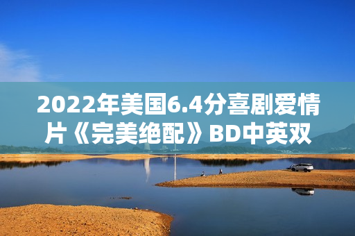2022年美国6.4分喜剧爱情片《完美绝配》BD中英双字