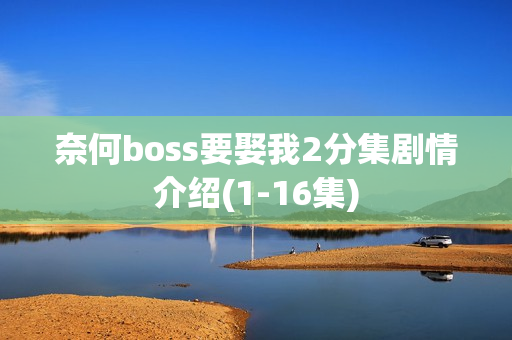 奈何boss要娶我2分集剧情介绍(1-16集)