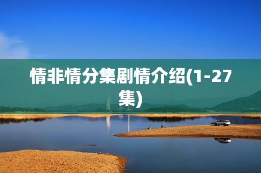 情非情分集剧情介绍(1-27集)